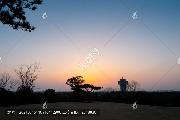 落日下的松林古塔