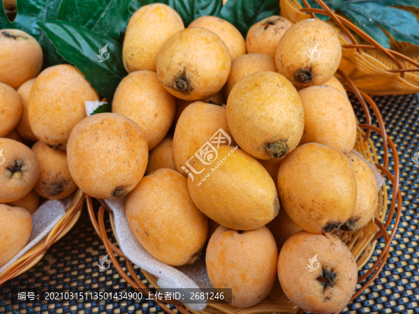 枇杷