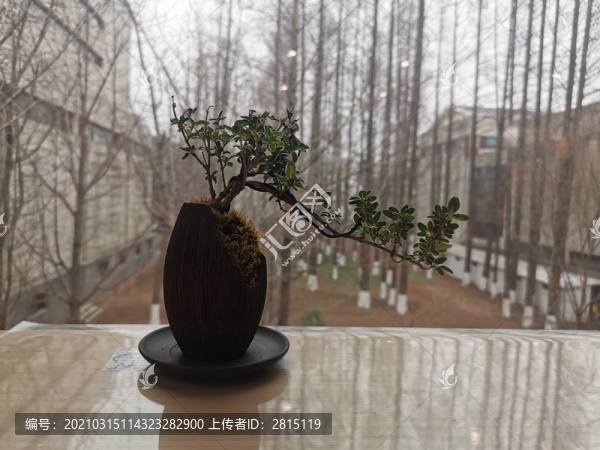 中式裝飾盆栽