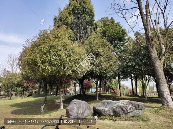 公園綠化