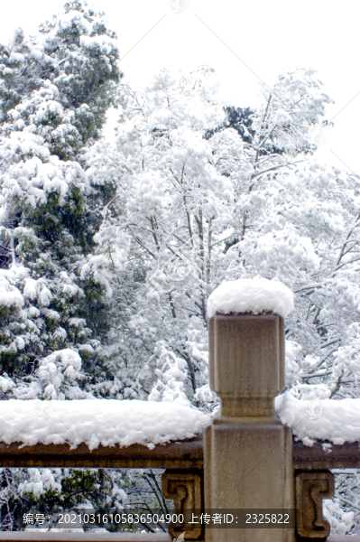 白雪皚皚