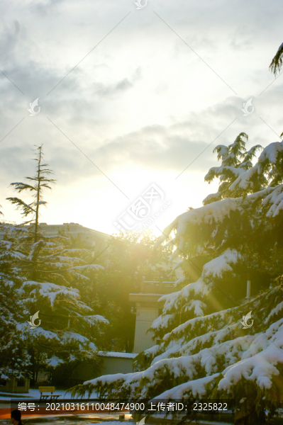 皚皚白雪