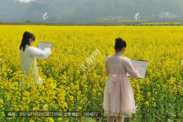 小學(xué)生在油菜花地寫(xiě)真