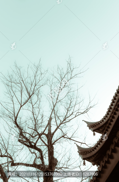 蘇州西園寺