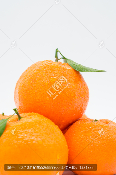 粑粑柑