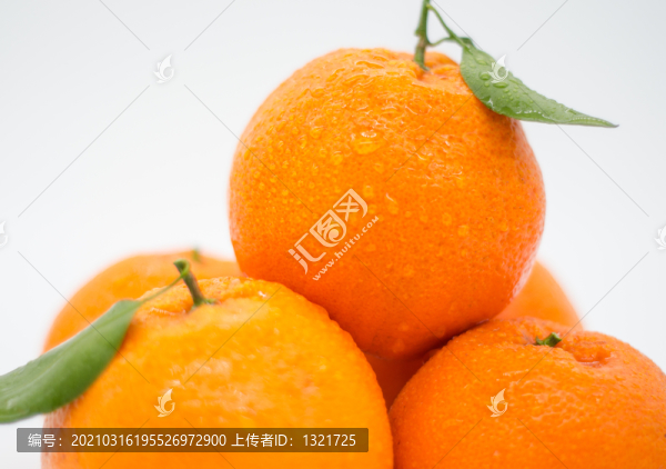 粑粑柑