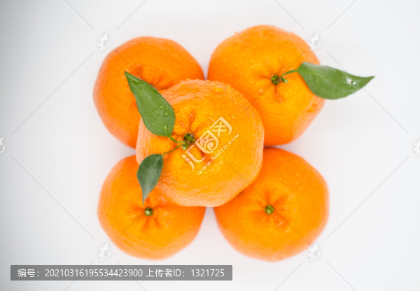 粑粑柑