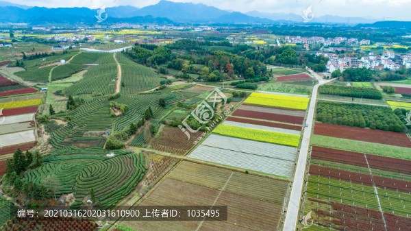 田園風(fēng)光