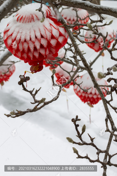 蓋著雪被的紅燈籠