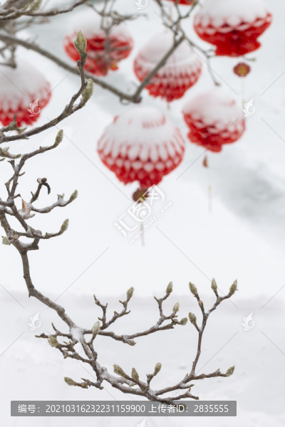 蓋著雪被的紅燈籠