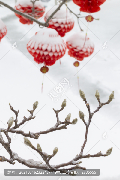 蓋著雪被的紅燈籠