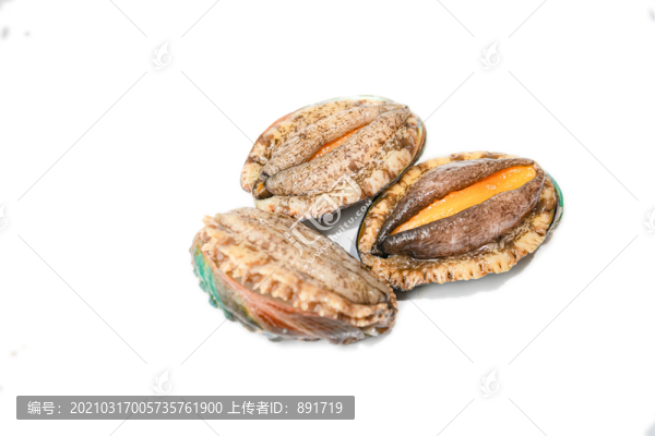 鮑魚