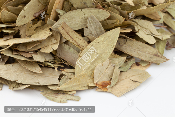 中藥番瀉葉