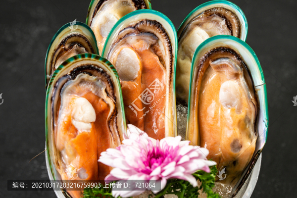 澳洲青口