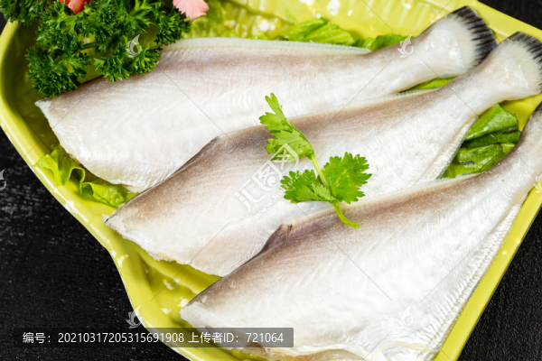 進(jìn)口耗兒魚