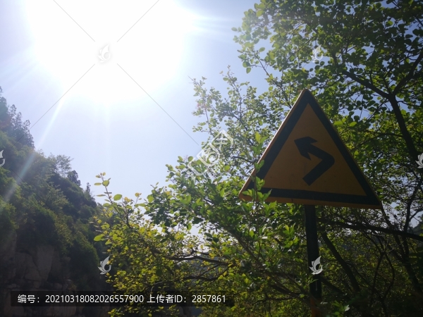 崛圍山樹中向左急轉(zhuǎn)彎交通標志