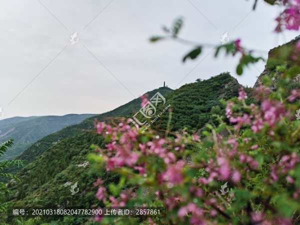 太原崛圍山大山佛塔和鮮花