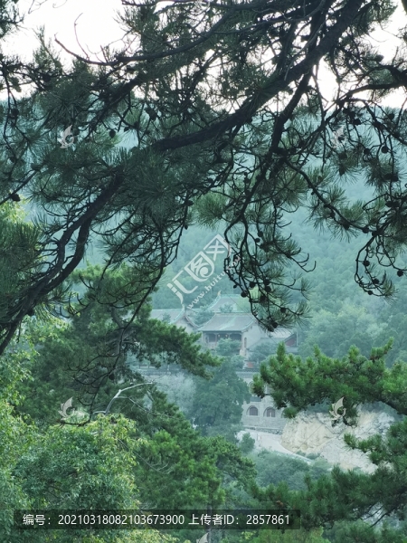 崛圍山多福寺