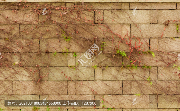 平江路磚墻