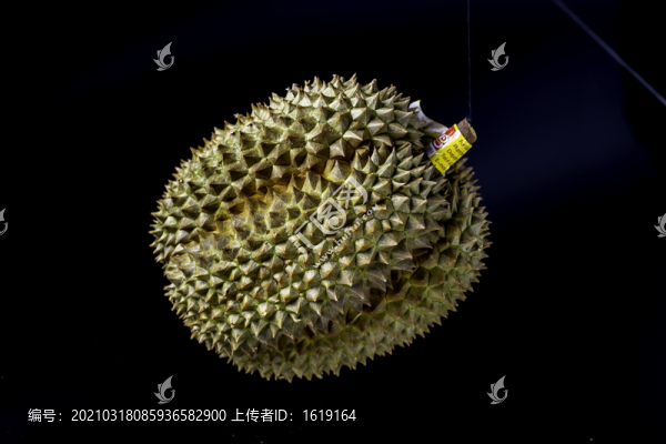榴蓮
