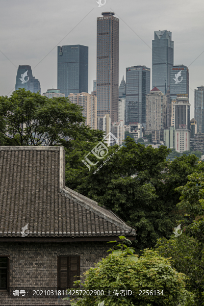 森林重慶