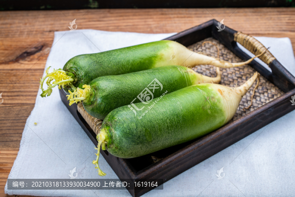 水果蘿卜正宗濰坊蘿卜