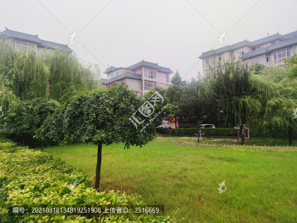 小區(qū)綠化