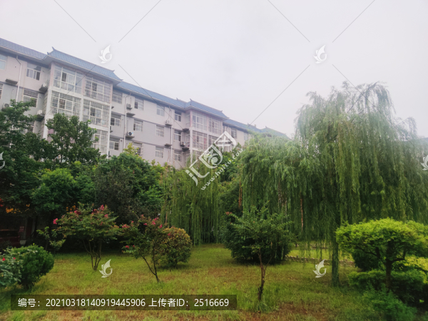 公園綠化植物