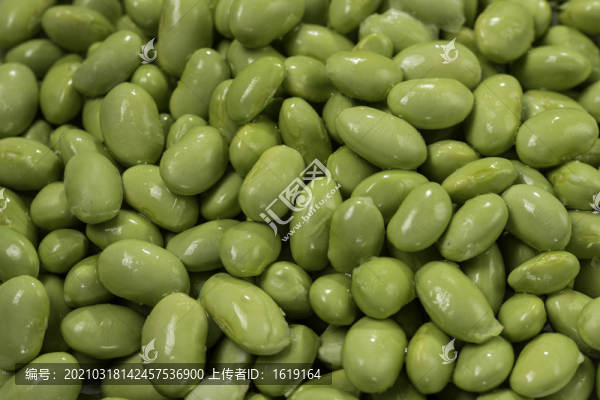 毛豆