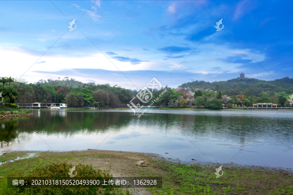 春光明媚
