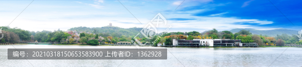 春光明媚