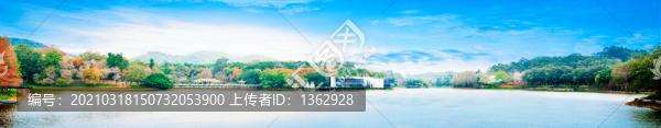 春光明媚