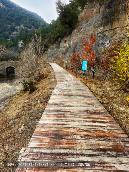 天龍山山間小路
