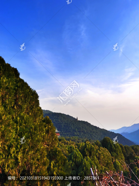 天龍山森林藍(lán)天白云