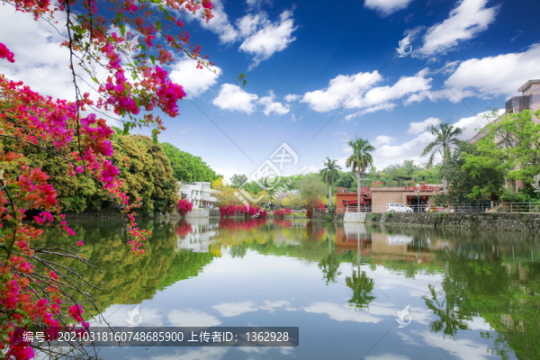 春曉
