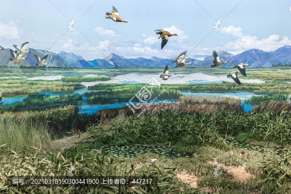 拉薩河濕地