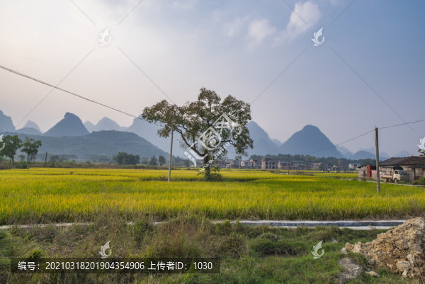 田園風(fēng)光