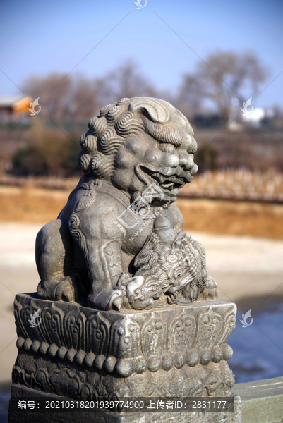 盧溝橋的獅子數(shù)不清