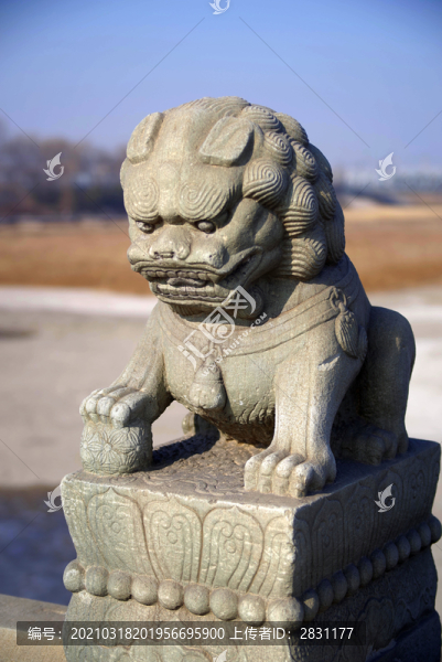 盧溝橋的獅子數(shù)不清