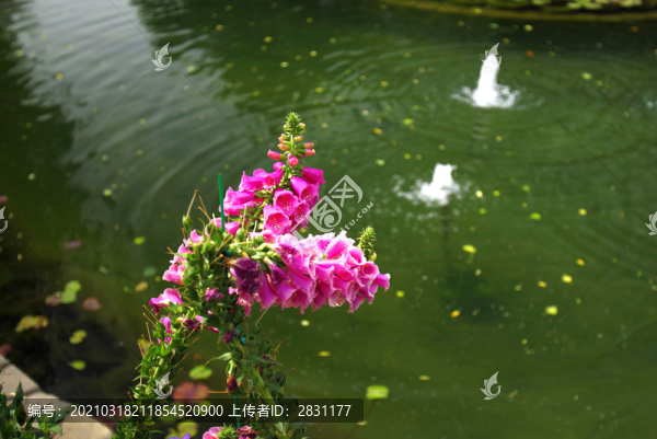 正陽(yáng)觀水前門三里河
