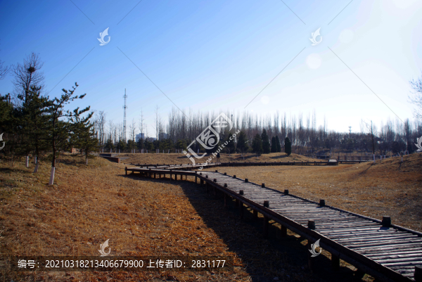 中關(guān)村森林公園