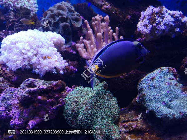 海底世界
