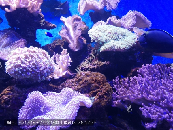 海底世界