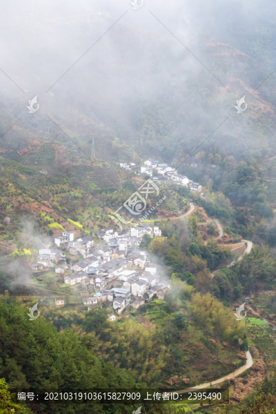 黃山市歙縣坡山村油菜花云霧風(fēng)景