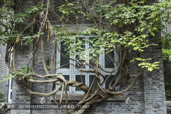 潘天壽紀念館
