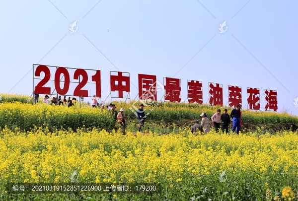 漢中油菜節(jié)