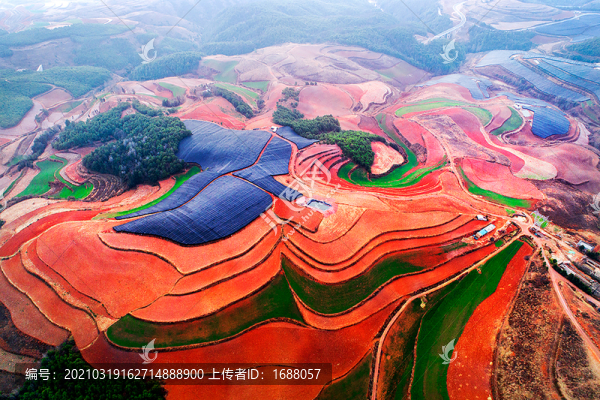 云南東川紅土地