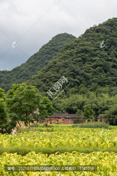 田園風(fēng)光