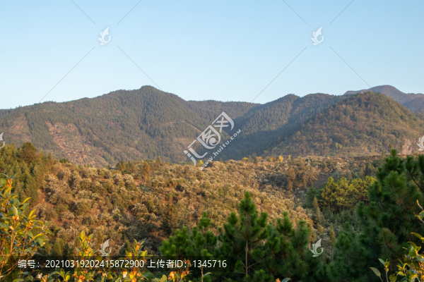 山峰森林風(fēng)光