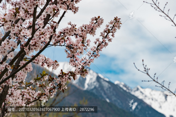 中國四川西部阿壩州高原自然風(fēng)光